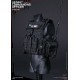 DAMTOYS 1/6 NAVY COMMANDING OFFICER